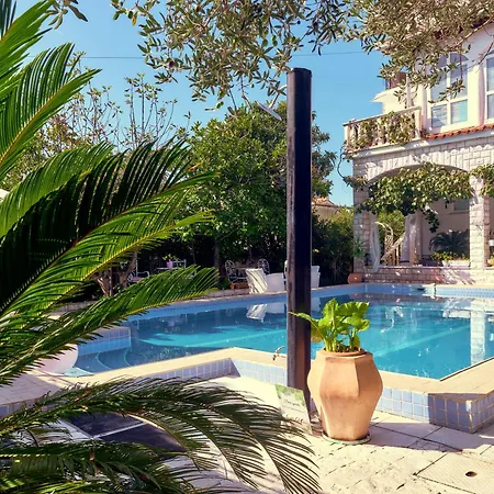 Art Ines Ζαντάρ