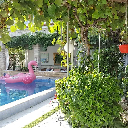 Art Ines Ζαντάρ