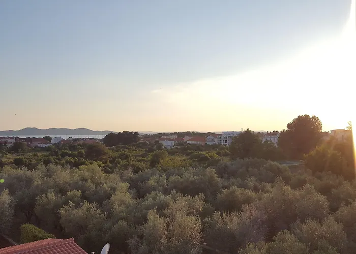 Art Ines Zadar